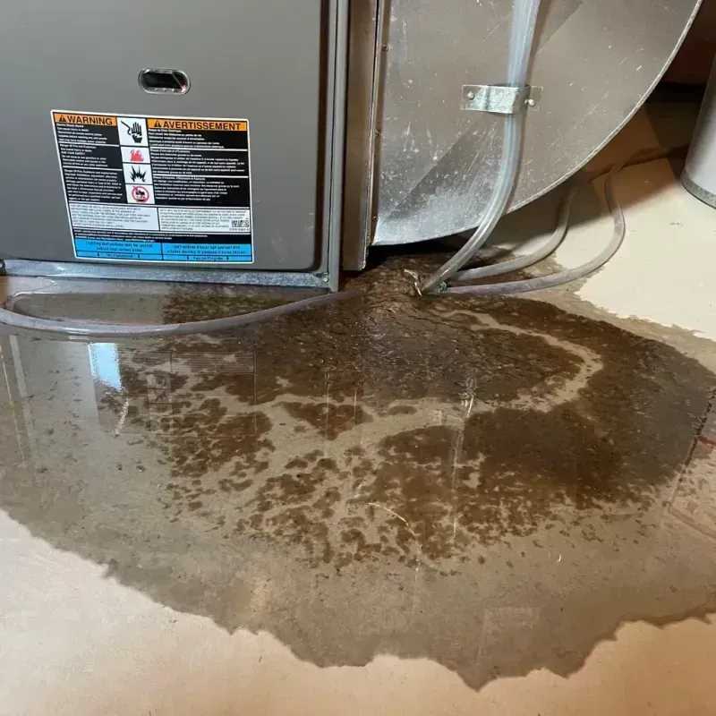 Appliance Leak Cleanup in Capac, MI